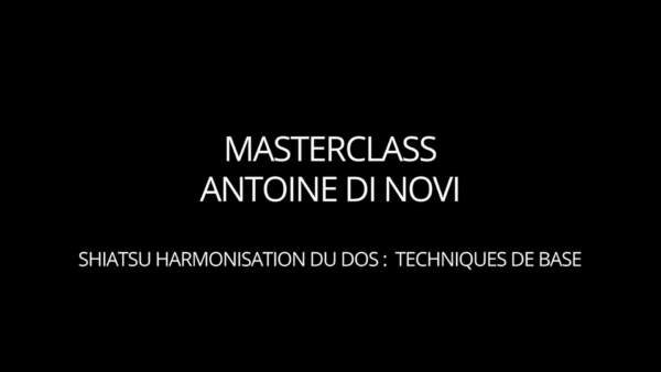 Masterclass vidéo Shiatsu harmonisation générale