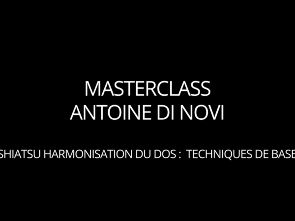 Masterclass vidéo Shiatsu harmonisation générale