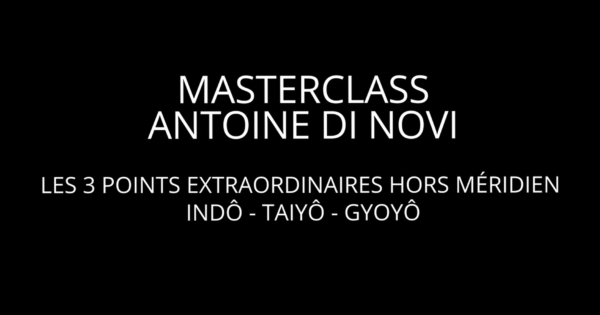 Masterclass vidéo Indô, Gyoyô et Taiyô