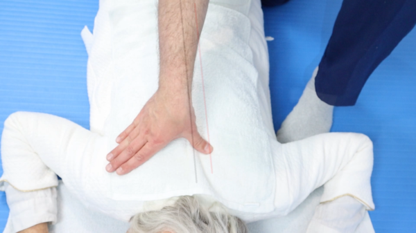 Masterclass vidéo Shiatsu harmonisation générale – Image 3