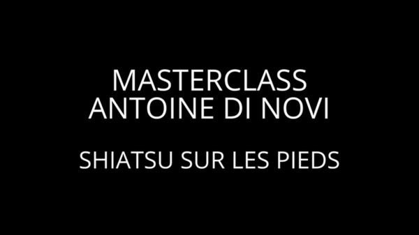 Masterclass vidéo Shiatsu sur les pieds
