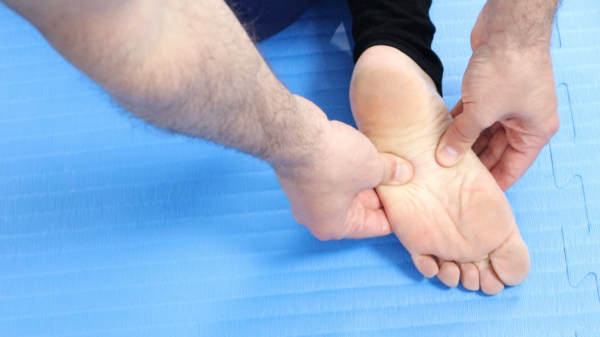 Masterclass vidéo Shiatsu sur les pieds – Image 4