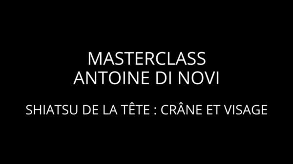 Masterclass vidéo Shiatsu de la tête, crâne et visage