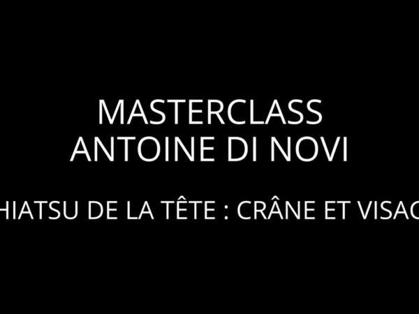 Masterclass vidéo Shiatsu de la tête, crâne et visage