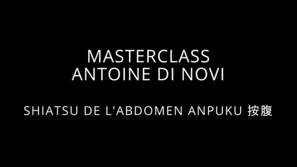 Masterclass vidéo Shiatsu de l'abdomen Anpuku