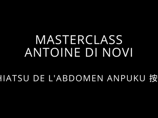 Masterclass vidéo Shiatsu de l'abdomen Anpuku