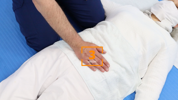Masterclass vidéo Shiatsu de l'abdomen Anpuku – Image 2